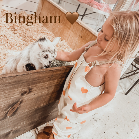 Sponsorship - Bingham